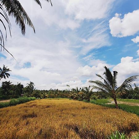 Bunga Maliq Bungalow Lombok Tetebatu Kültér fotó