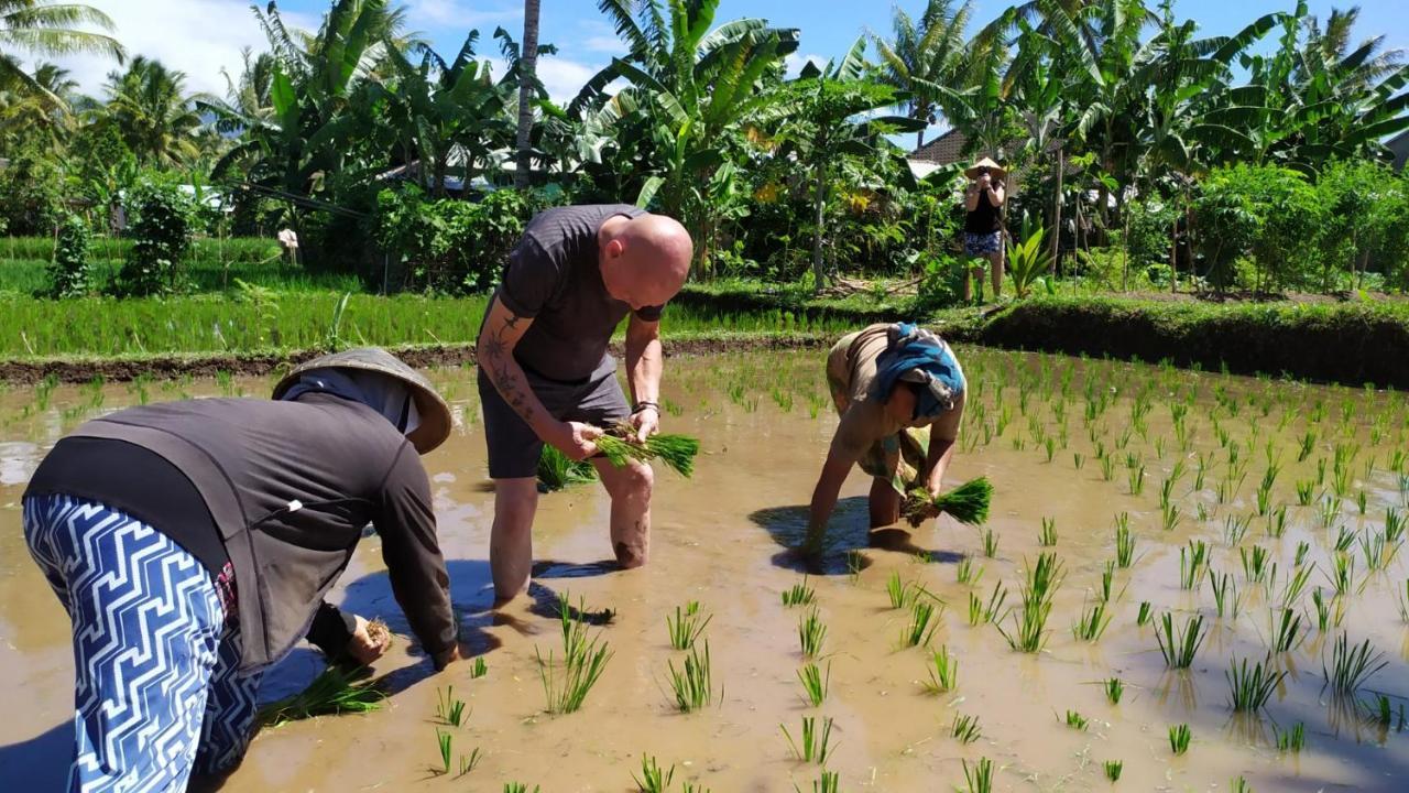 Bunga Maliq Bungalow Lombok Tetebatu Kültér fotó
