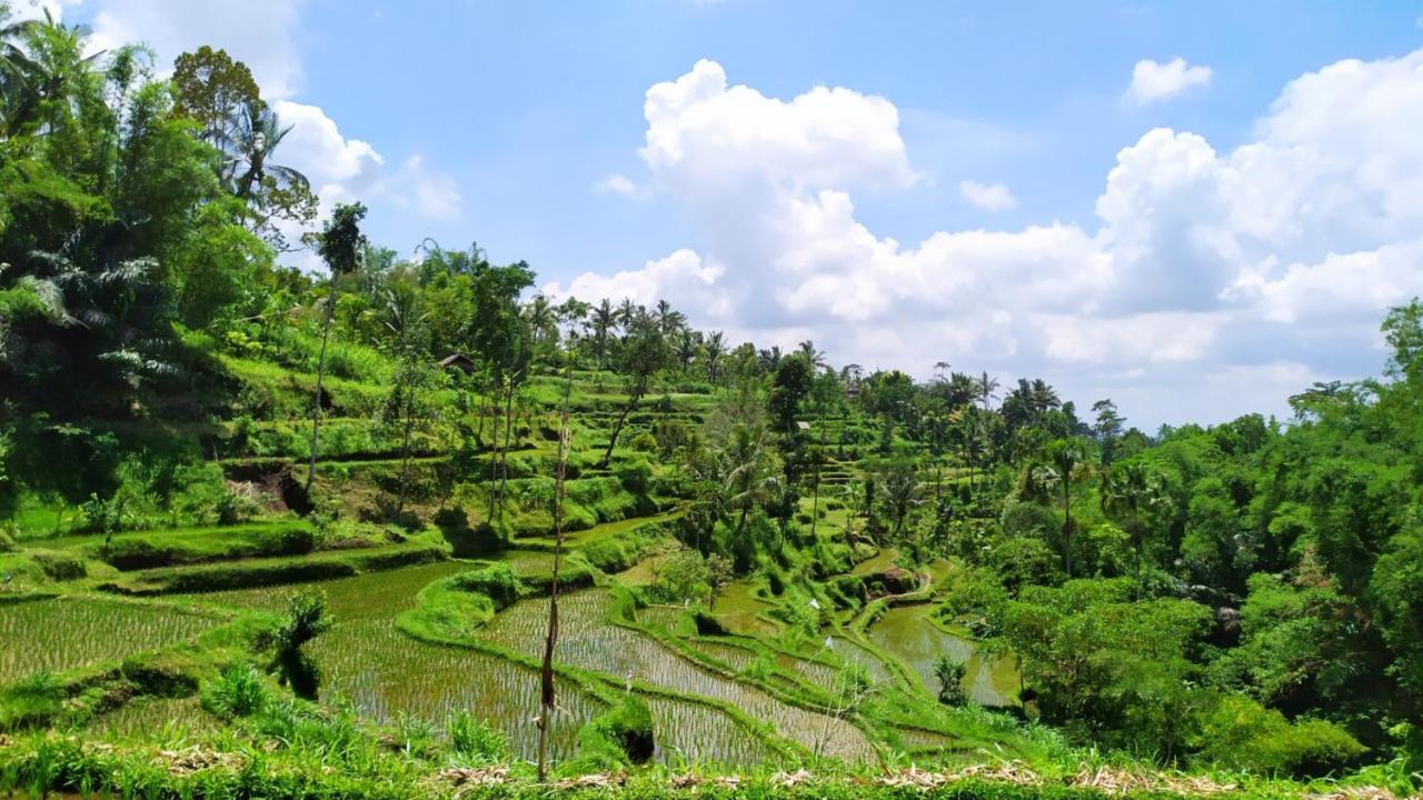 Bunga Maliq Bungalow Lombok Tetebatu Kültér fotó