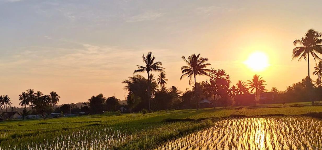 Bunga Maliq Bungalow Lombok Tetebatu Kültér fotó