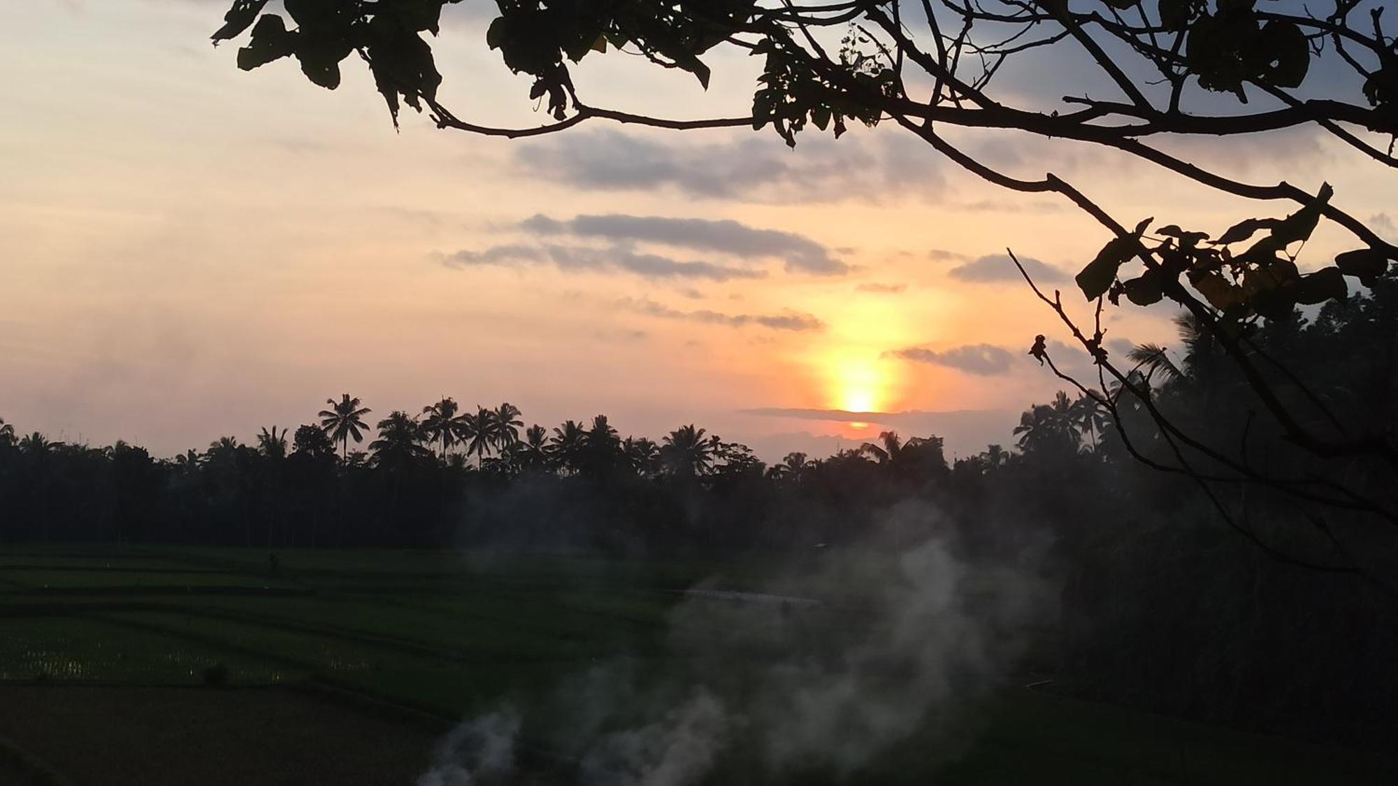 Bunga Maliq Bungalow Lombok Tetebatu Kültér fotó