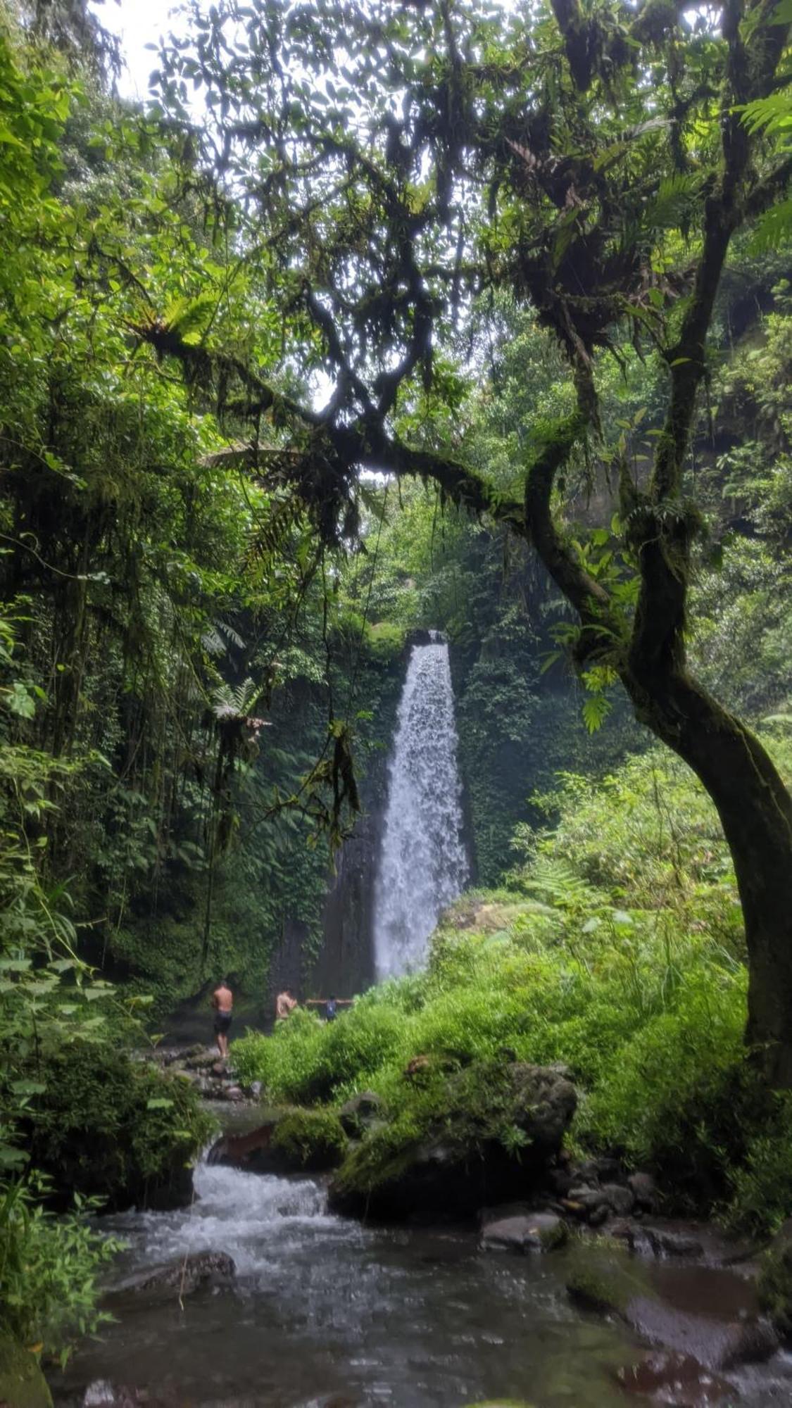 Bunga Maliq Bungalow Lombok Tetebatu Kültér fotó