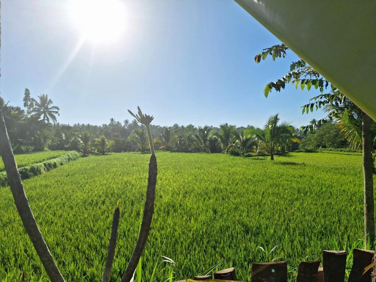 Bunga Maliq Bungalow Lombok Tetebatu Szoba fotó