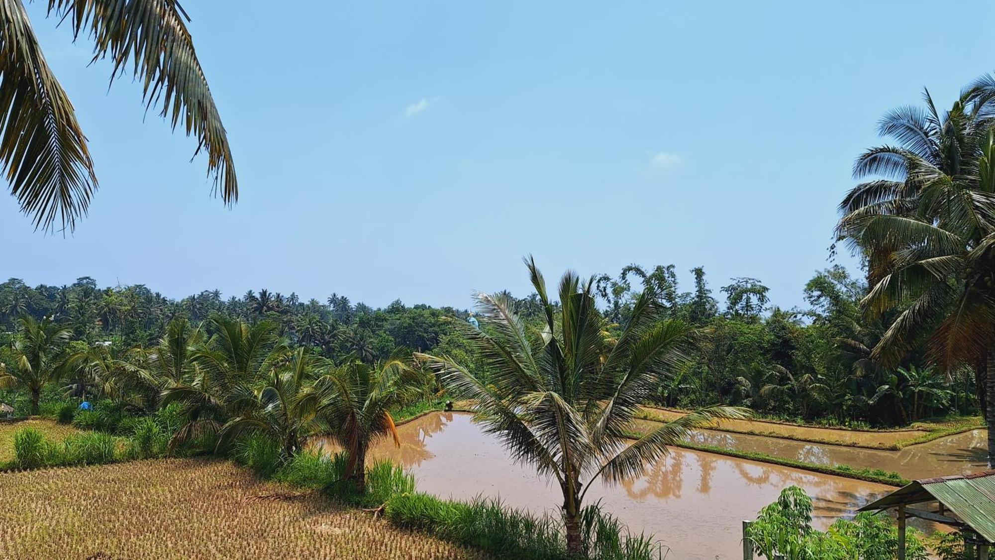Bunga Maliq Bungalow Lombok Tetebatu Kültér fotó