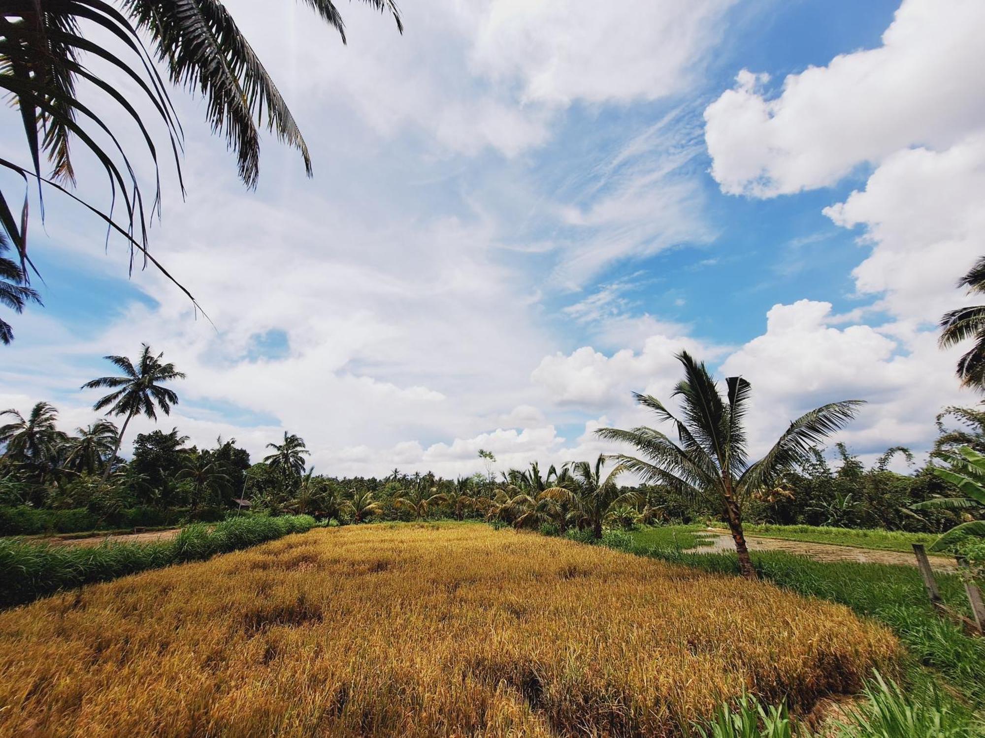 Bunga Maliq Bungalow Lombok Tetebatu Kültér fotó